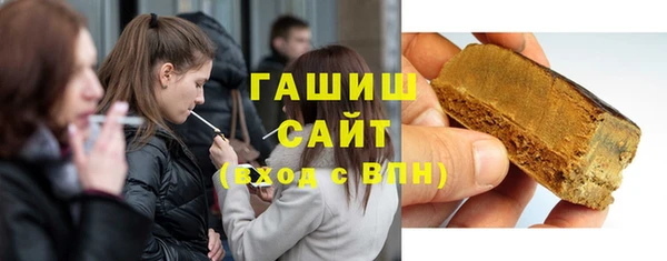 гидра Богданович