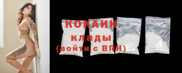 гидра Богданович