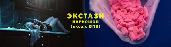 гидра Богданович