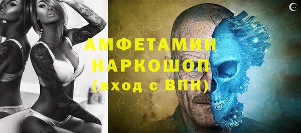 гидра Богданович