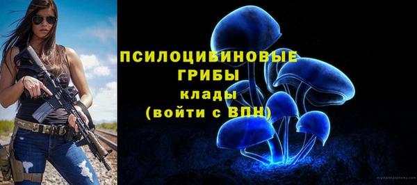 гидра Богданович