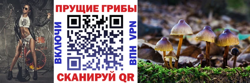 Купить закладки  Киселёвск  Галлюциногенные грибы MAGIC MUSHROOMS 